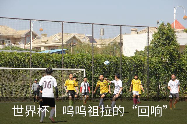 世界杯｜呜呜祖拉的“回响”